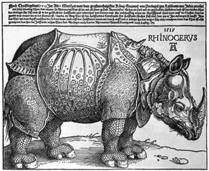 Næsehorn, tryk givet til Maximilian I af kongen af Lissabon, 1515, 1936 af Albrecht Dürer