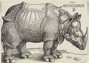 Rhinocerus (Næsehornet) af Albrecht Dürer
