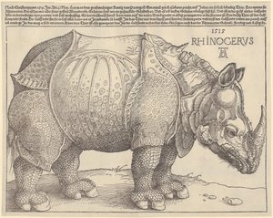 Næsehorn af Albrecht Dürer