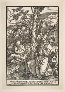 Saint Francis modtager Stigmata, ca. 1503. af Albrecht Dürer