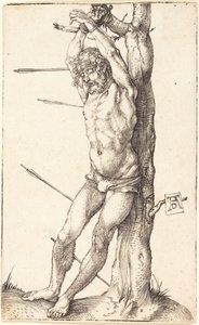  af Albrecht Dürer