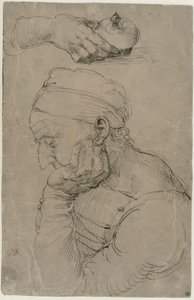  af Albrecht Dürer