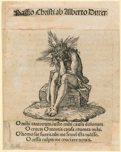  af Albrecht Dürer