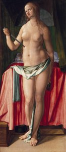  af Albrecht Dürer