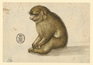  af Albrecht Dürer
