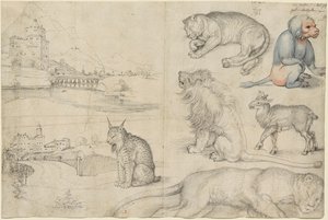 Skitser af dyr og landskaber, 1521. af Albrecht Dürer