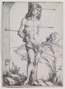  af Albrecht Dürer