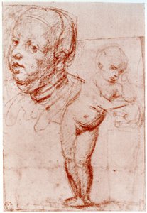 Studier, 1913. af Albrecht Dürer
