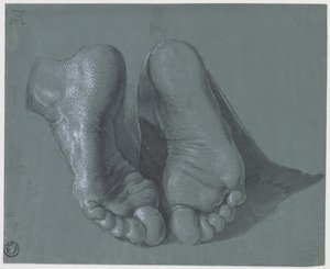 Undersøgelse af to fødder af Albrecht Dürer