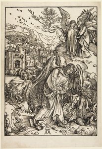  af Albrecht Dürer