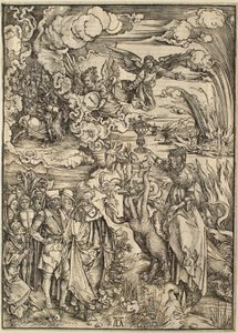  af Albrecht Dürer
