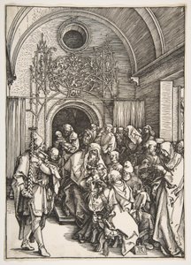  af Albrecht Dürer