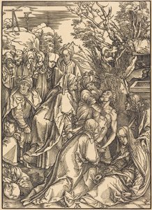  af Albrecht Dürer