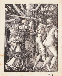  af Albrecht Dürer