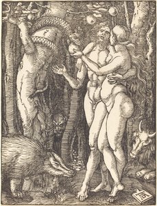Menneskets Fald af Albrecht Dürer