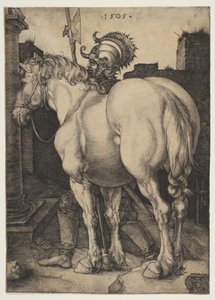  af Albrecht Dürer