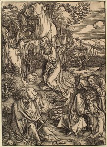  af Albrecht Dürer