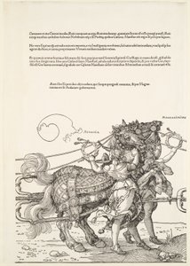  af Albrecht Dürer