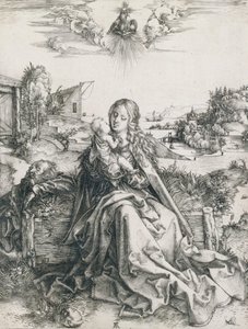  af Albrecht Dürer