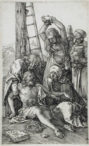  af Albrecht Dürer