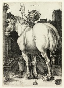 Den store hest af Albrecht Dürer