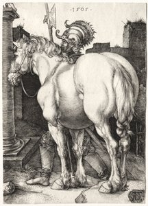 Den store hest af Albrecht Dürer
