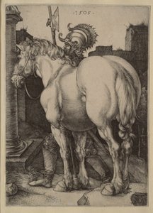  af Albrecht Dürer