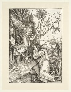  af Albrecht Dürer