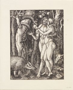 Den lille passionshistorie: Syndefaldet af Albrecht Dürer