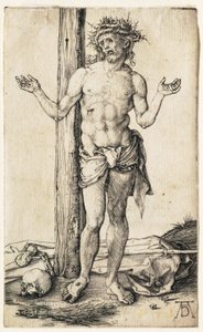  af Albrecht Dürer
