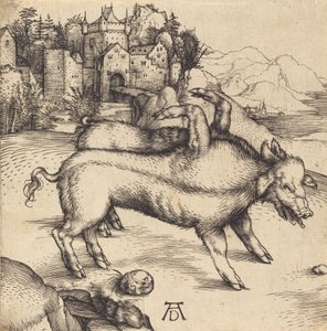 Det monstrøse svin fra Landser, sandsynligvis 1496. af Albrecht Dürer