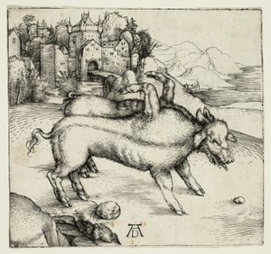 Den monstrøse So af Landser af Albrecht Dürer