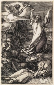  af Albrecht Dürer