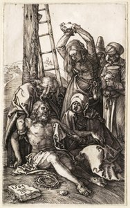  af Albrecht Dürer
