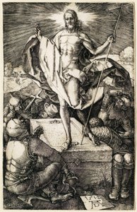  af Albrecht Dürer