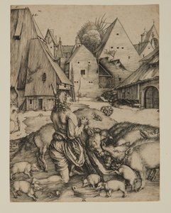  af Albrecht Dürer
