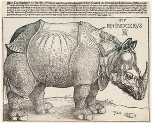 Næsehornet af Albrecht Dürer