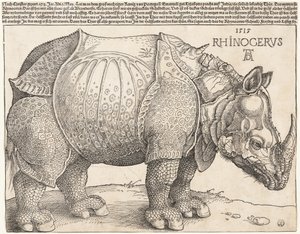 Næsehornet af Albrecht Dürer