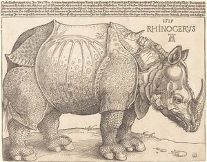 Næsehornet, 1515. af Albrecht Dürer