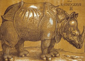 Næsehornet, 1515. af Albrecht Dürer