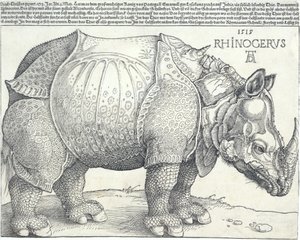 Næsehornet, 1515., 1515. af Albrecht Dürer