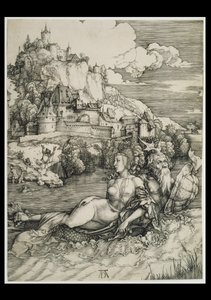 Havuhyret af Albrecht Dürer