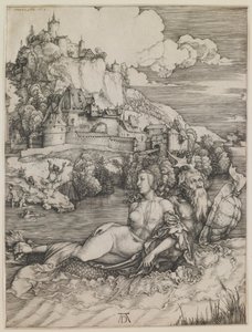  af Albrecht Dürer