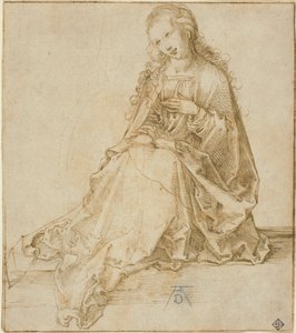  af Albrecht Dürer