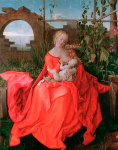 Jomfruen og barnet, Madonnaen med iris, 1500-1510 af Albrecht Dürer