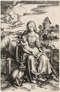  af Albrecht Dürer