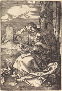  af Albrecht Dürer