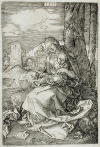 af Albrecht Dürer