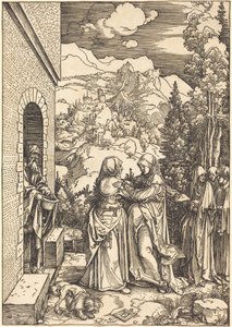  af Albrecht Dürer