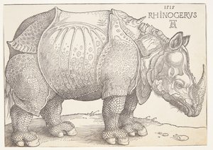 Næsehornet af Albrecht Dürer